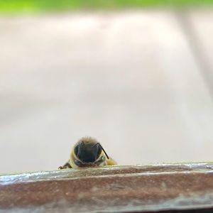 🌼💛SHOP UPDATE/PLEASE READ💛🌼